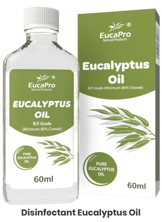 Eucalyptus Oil, Furniture & Home Living, Home Fragrance on Carousell