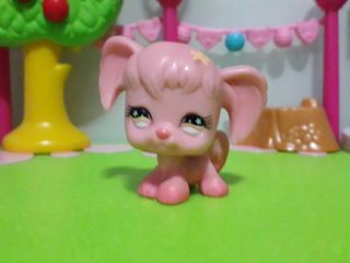(Category: ) located in . Submitted by cake_pop (Listing ID 1011170841, Image 1). Description: .