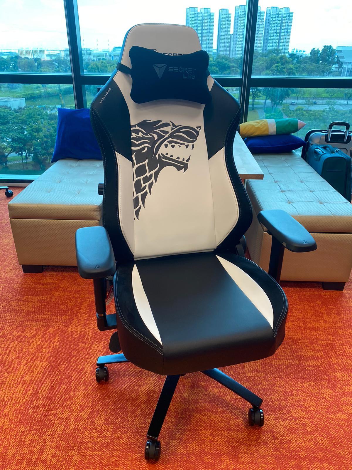 Secret Lab Office Chair Limited Edition Titan. Pillow sold
