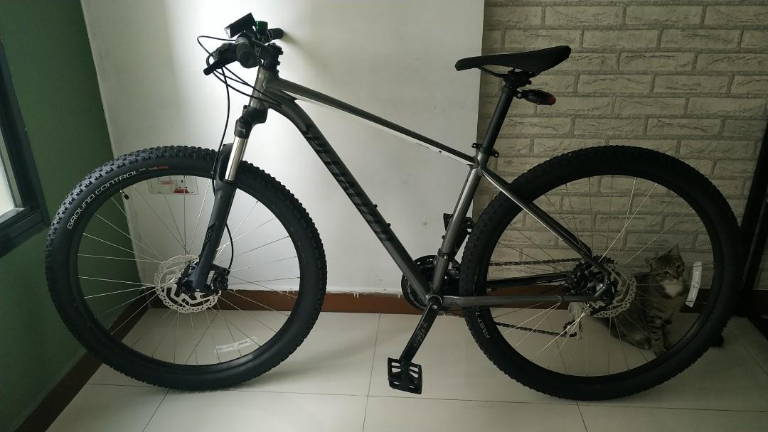 2019 specialized hot sale rockhopper sport