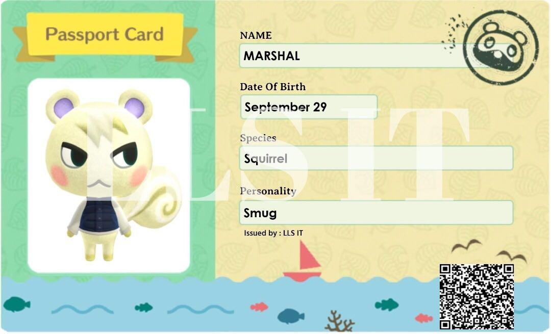 Animal Crossing Passport Amiibo Card