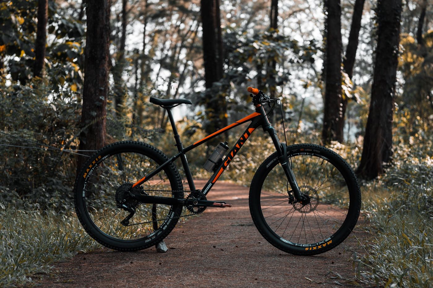 Custom Giant Talon 3 2018, Sports 
