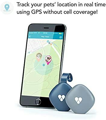 findster duo pet tracker