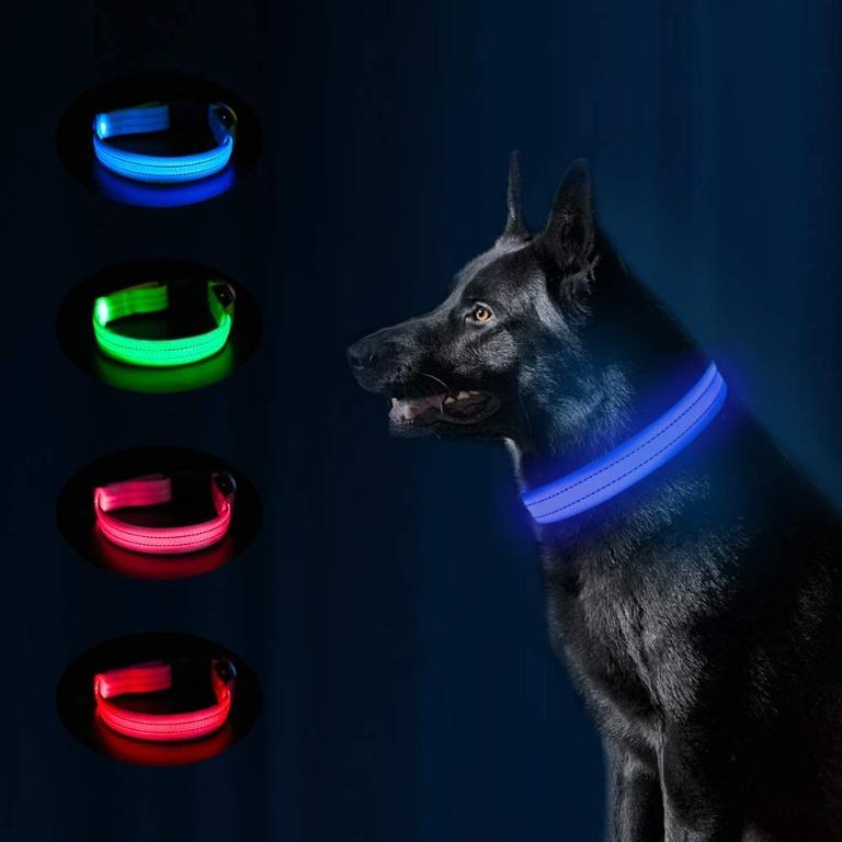 H050 MASBRILL Rechargeable LED Dog