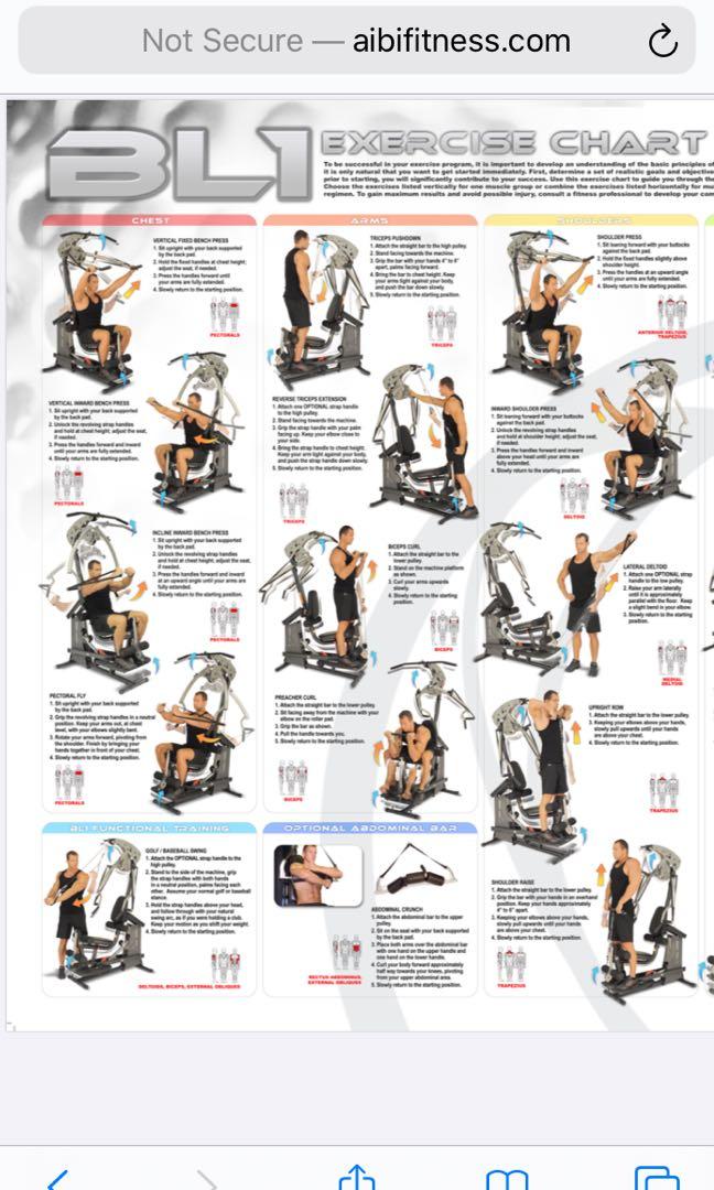 Home gym AIBI BL1 Inspire, Sports Equipment, Exercise & Fitness