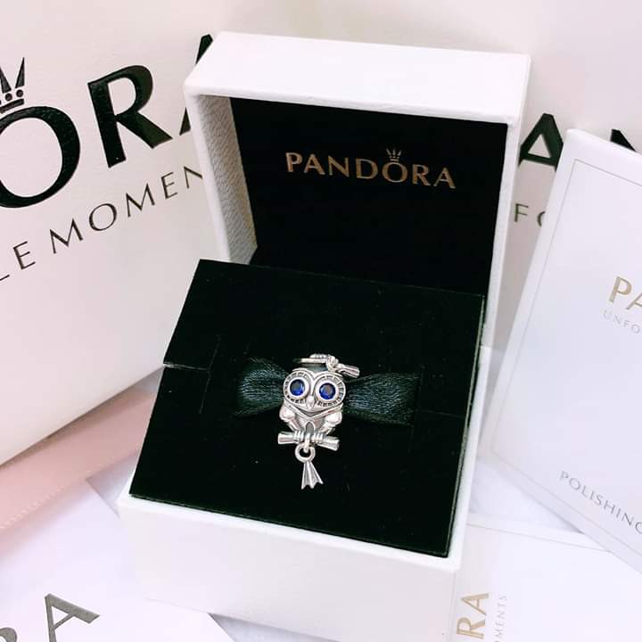 Pandora wise owl charm clearance