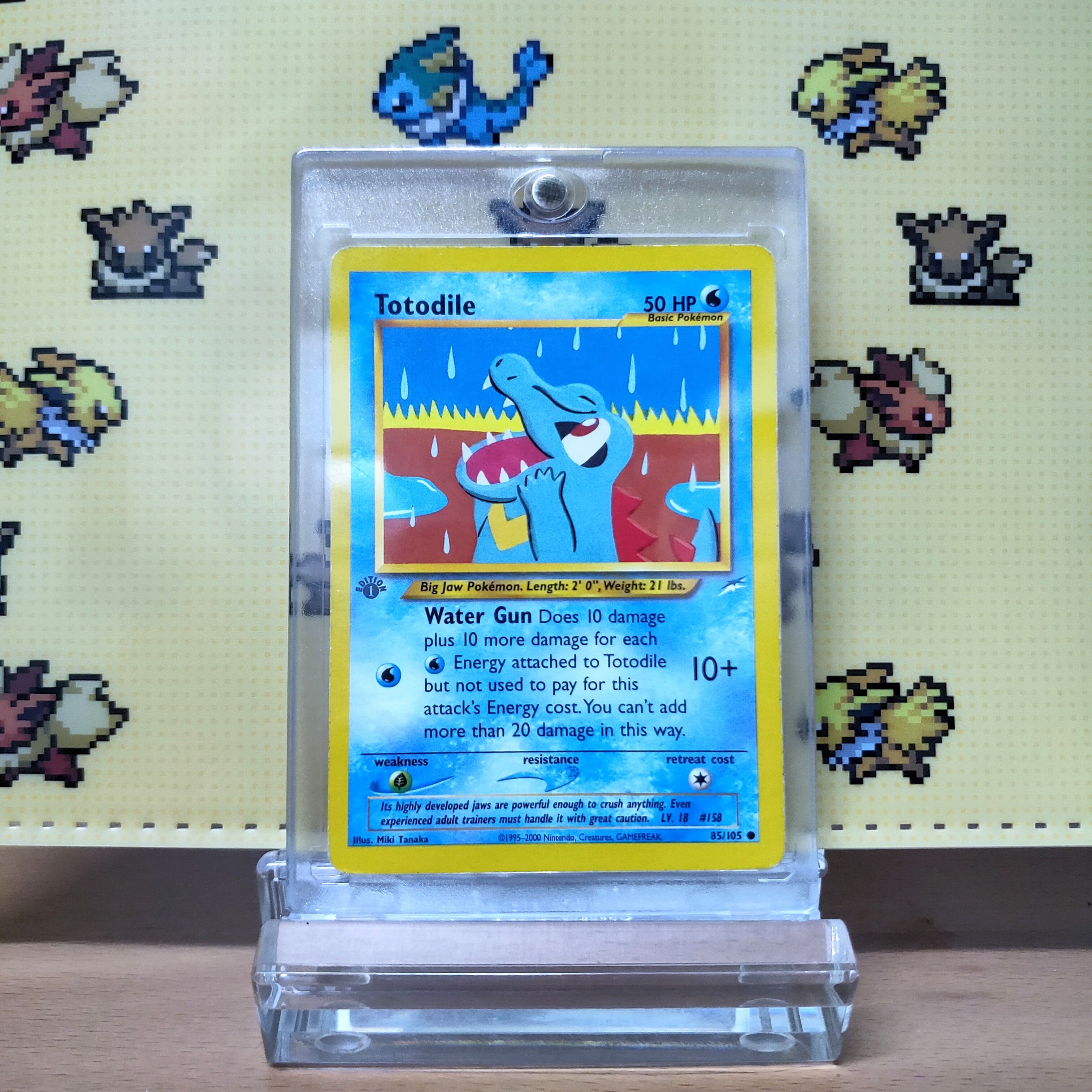 Pokemon Tcg Totodile First Edition Hobbies Toys Toys Games On Carousell