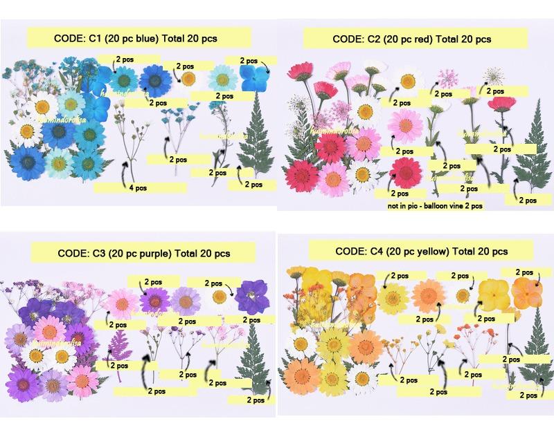 DIY Pressed Flower Frame Kit / Pressed Flower / Glass frame, Hobbies
