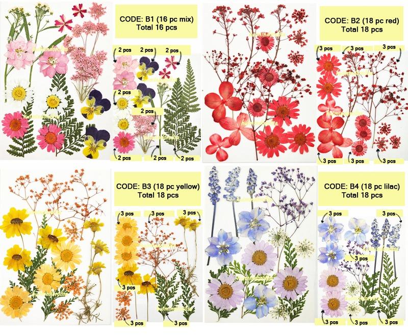 DIY Pressed Flower Frame Kit / Pressed Flower / Glass frame, Hobbies