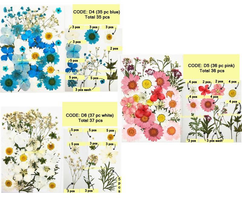 DIY Pressed Flower Frame Kit / Pressed Flower / Glass frame, Hobbies