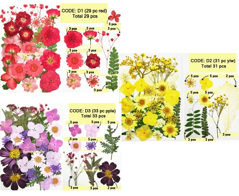 DIY Pressed Flower Frame Kit / Pressed Flower / Glass frame, Hobbies