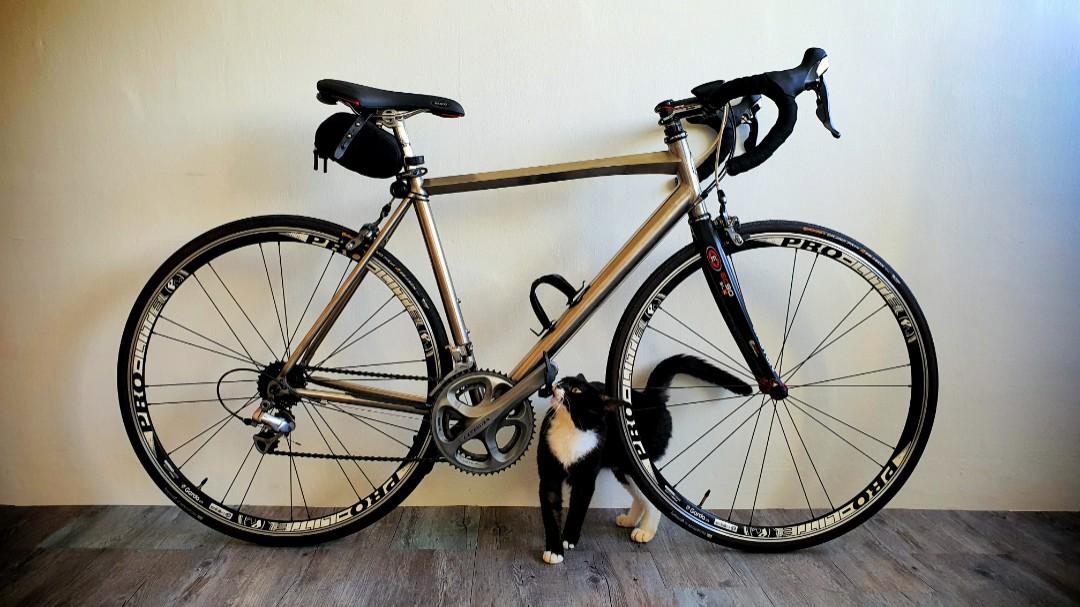 loud road bike hubs