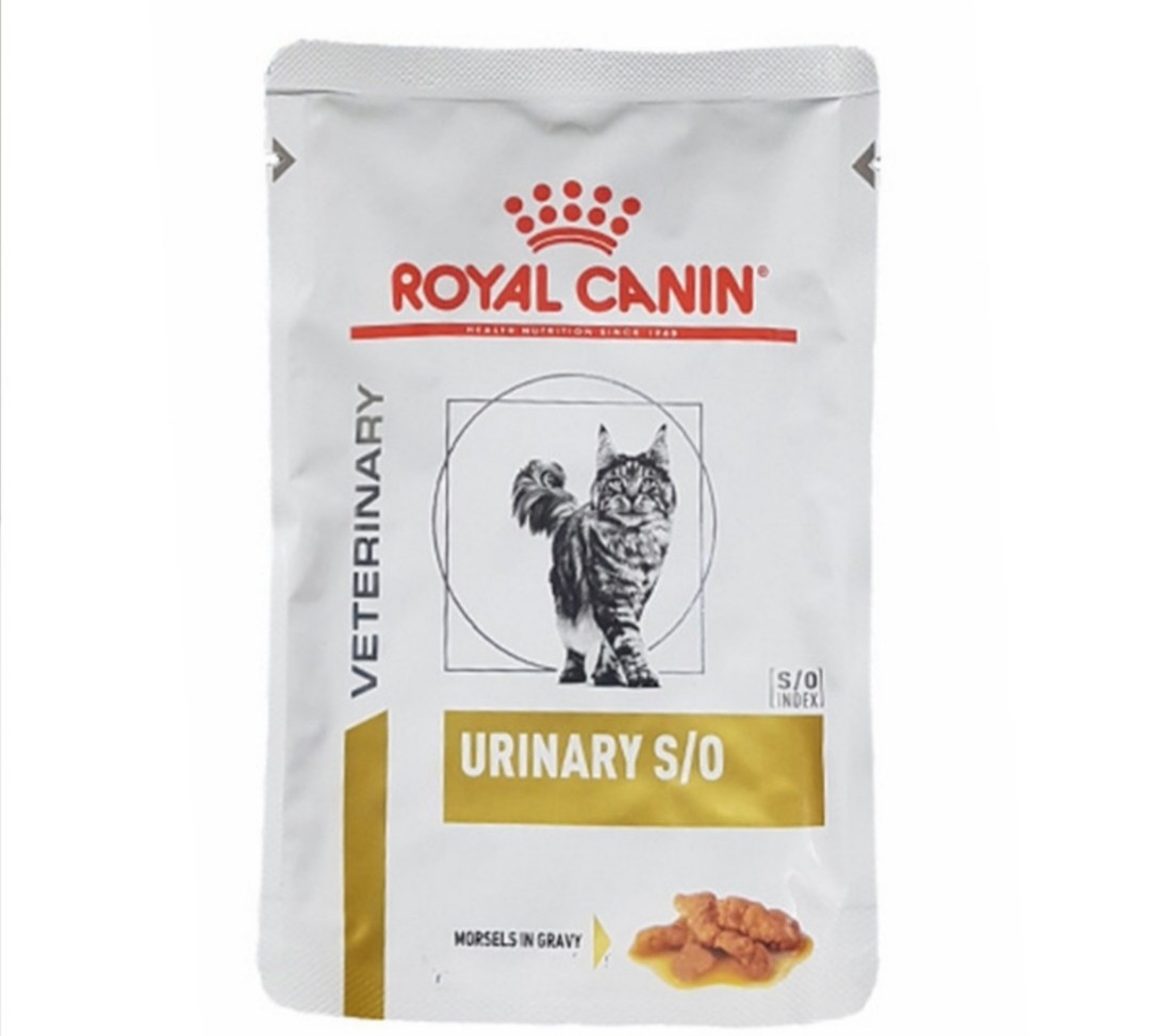 Royal Canin Urinary S O Cat Food Pet Supplies For Cats Cat Food On Carousell