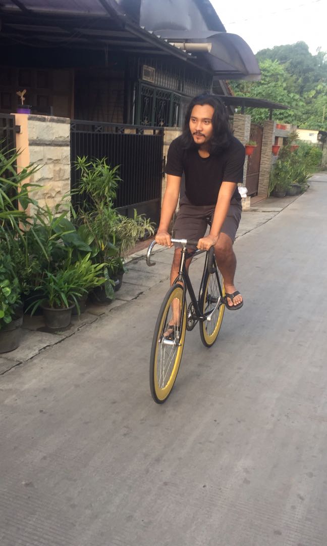 Stang bullhorn fixie deals