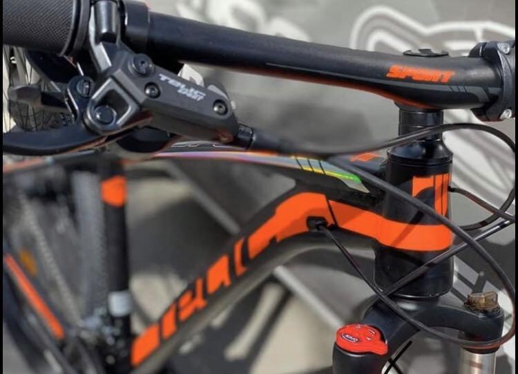 Telic mountain store bike price
