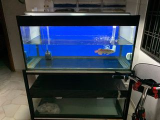 (Category: ) located in . Submitted by sgpowerman (Listing ID 1011598082, Image 1). Description: .