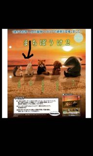 （分類：）位於 。 由 wongsaver 提交（商品編號 1011589619，圖片 1）。簡介： 。