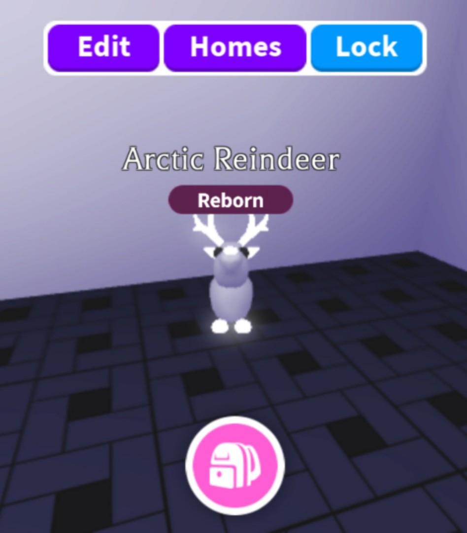 Adopt Me Fnr Fly Neon Ride Arctic Reindeer Video Gaming Video Games On Carousell - how to get a free legendary arctic reindeer in adopt me roblox
