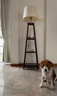 (Category: ) located in . Submitted by anlor (Listing ID 1011472746, Image 1). Description: .