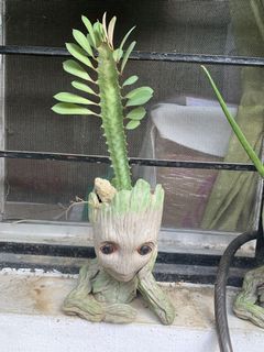 (Category: ) located in . Submitted by prdimayuga (Listing ID 1010243938, Image 1). Description: .