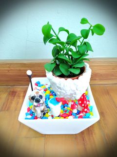 (Category: ) located in . Submitted by mygardenspace (Listing ID 1011482683, Image 1). Description: .