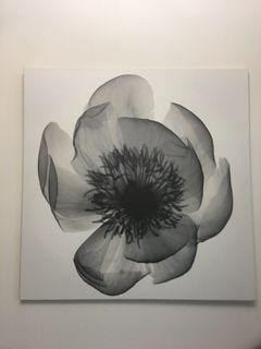 （分類：）位於 。 由 skierx 提交（商品編號 1011548596，圖片 1）。簡介： 。