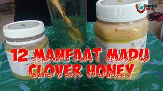 Madu Clover Honey
