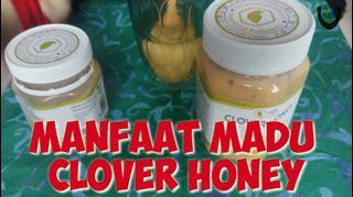 Madu Clover Honey