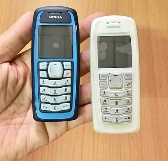 nokia 3100