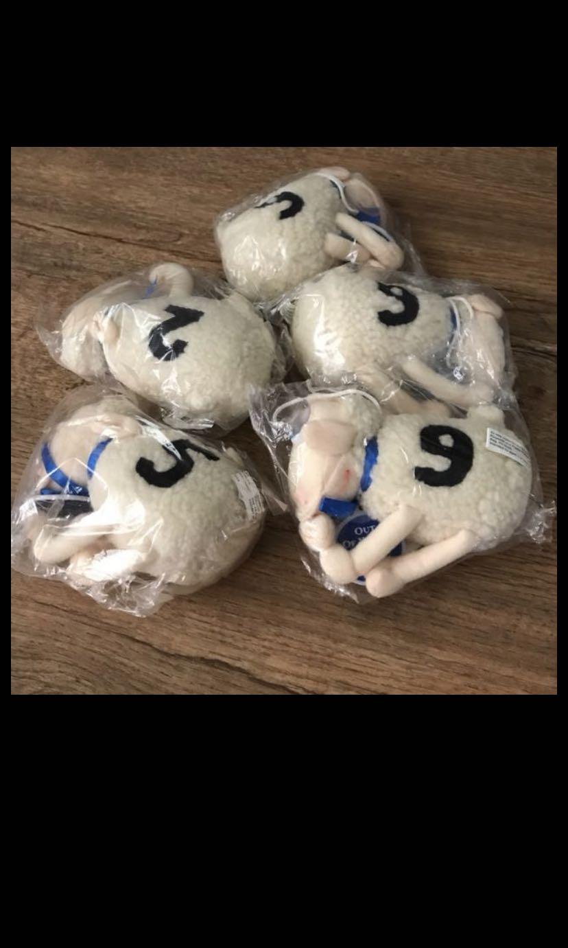 serta counting sheep