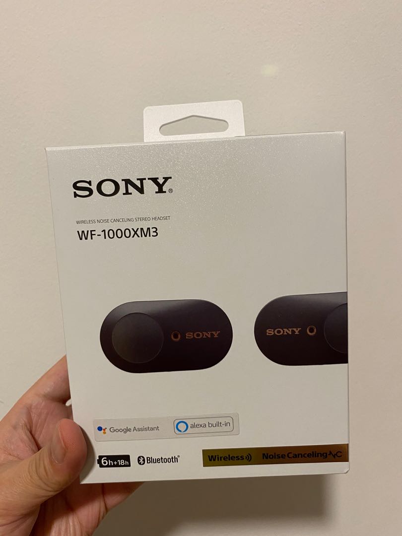 SONY WF100XM3