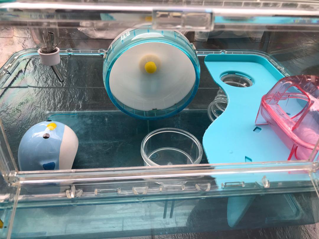 wild sanko hamster cage