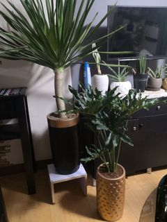 (Category: ) located in . Submitted by vivianwalker (Listing ID 1011646410, Image 1). Description: .