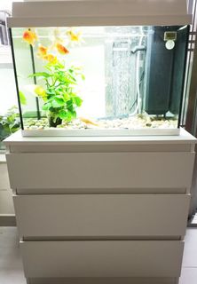 （分類：）位於 。 由 candy49 提交（商品編號 1009095125，圖片 1）。簡介： 。
