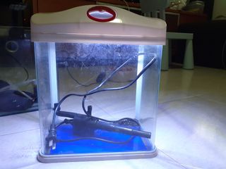 (Category: ) located in . Submitted by jaydenchua11 (Listing ID 1011731316, Image 1). Description: .