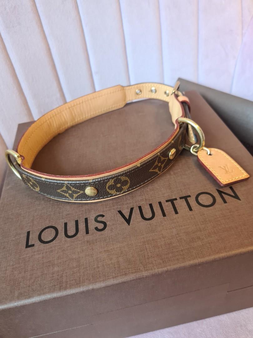 Louis Vuitton Baxter dog collar, $345 Louis Vuitton Baxter dog leash, $380