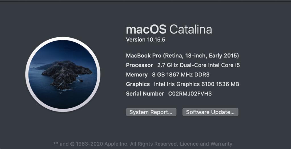 MacBook Pro + Microsoft Office 2019 (Retina, 13-inch, Early 2015)