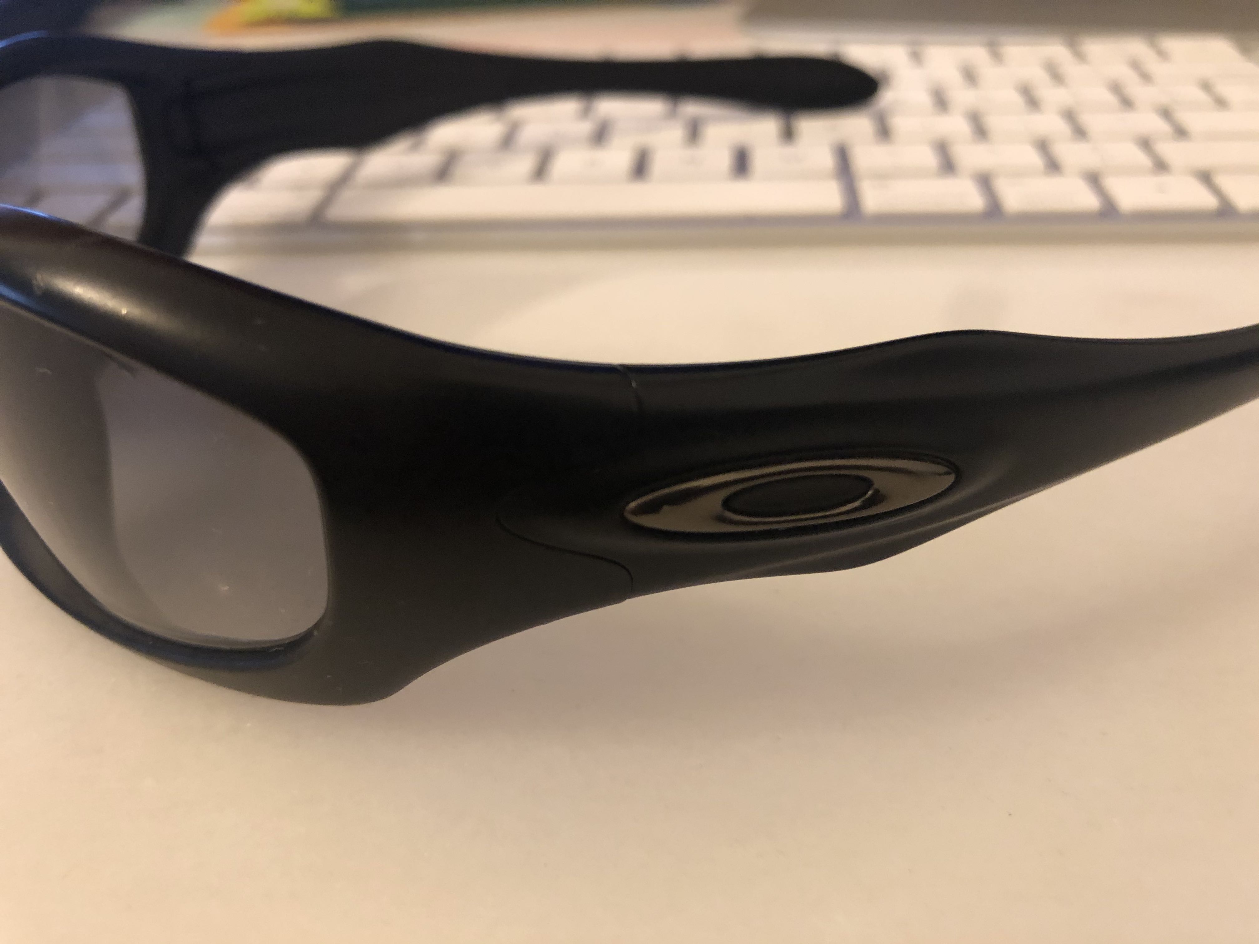 Arriba 64+ imagen oakley dog glasses Thptnganamst.edu.vn