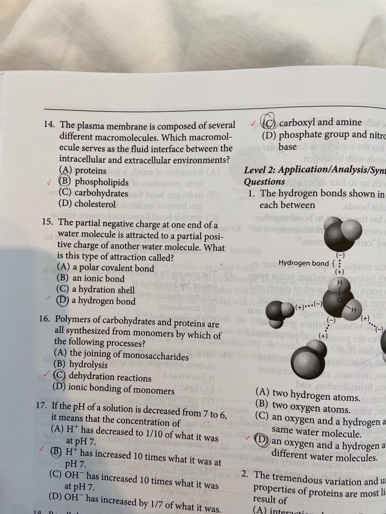 Pearson Ap Biology Textbook Books Stationery Textbooks Tertiary On Carousell