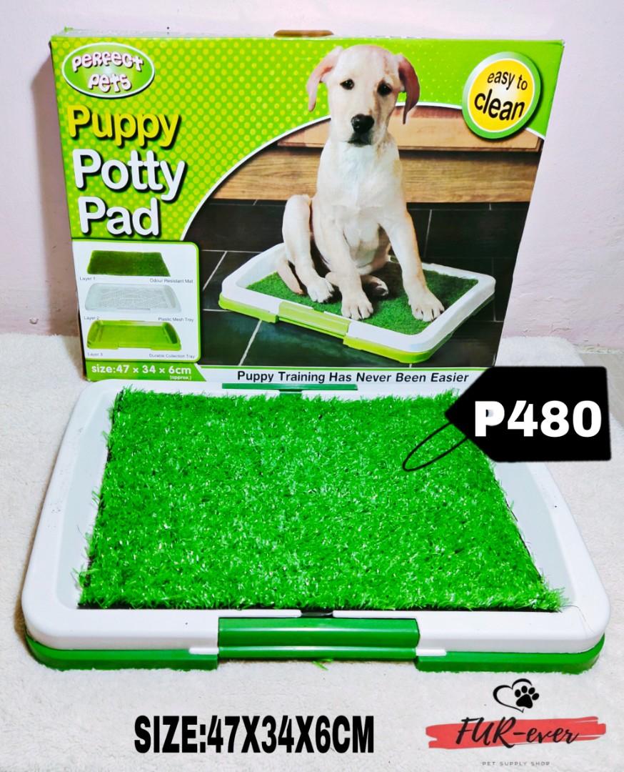 pet potty trainer