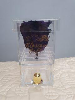Preserved Ecuadorian Rose in a Crystal Jewelry Box