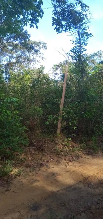 Tanah Kebun Getah Chalok Besut Terengganu Property For Sale On Carousell