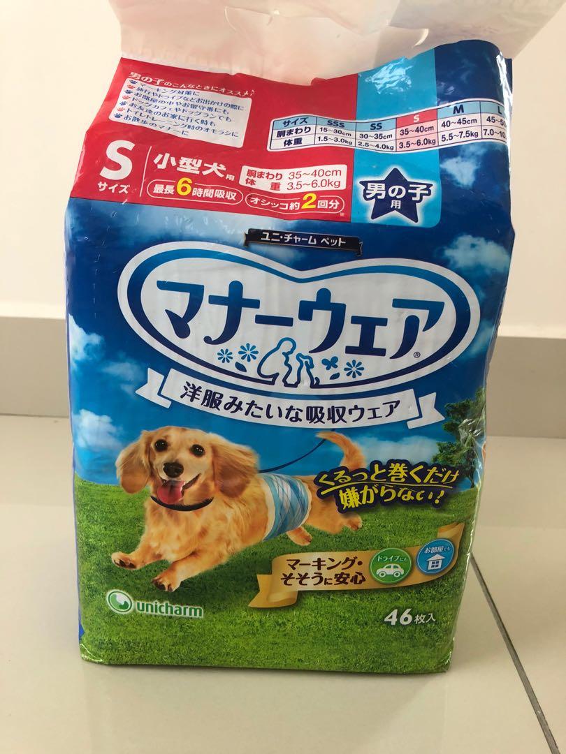 male dog accessories