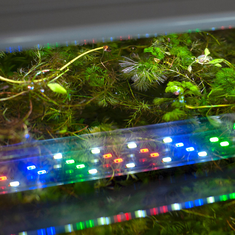 WRGB Overhead Aquarium Light with 3 lighting modes and adjustable