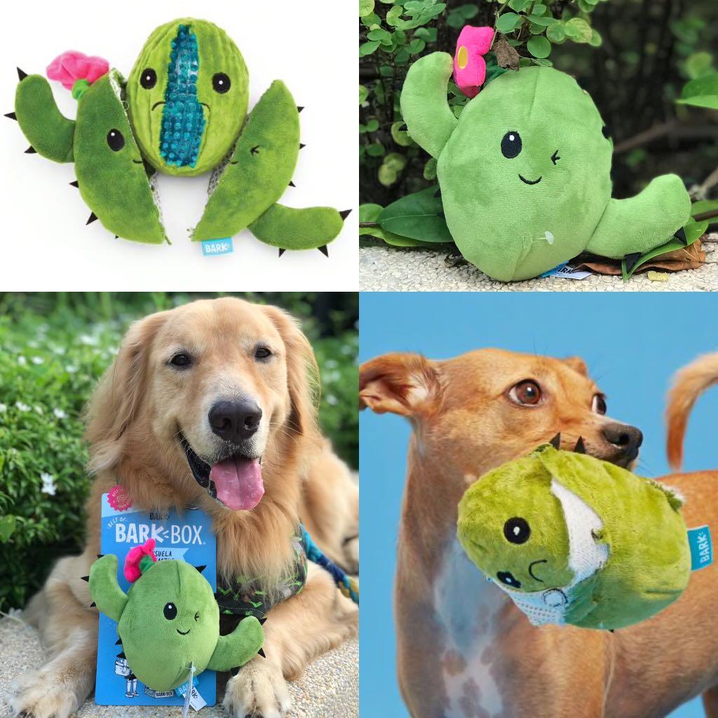 consuela the cactus dog toy