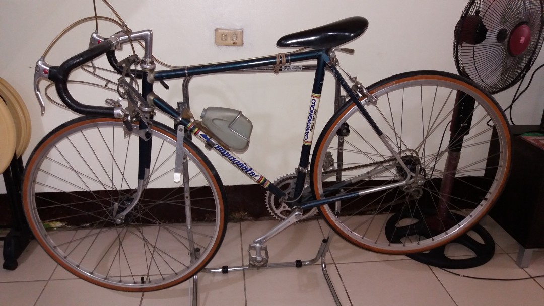 campagnolo bike frame
