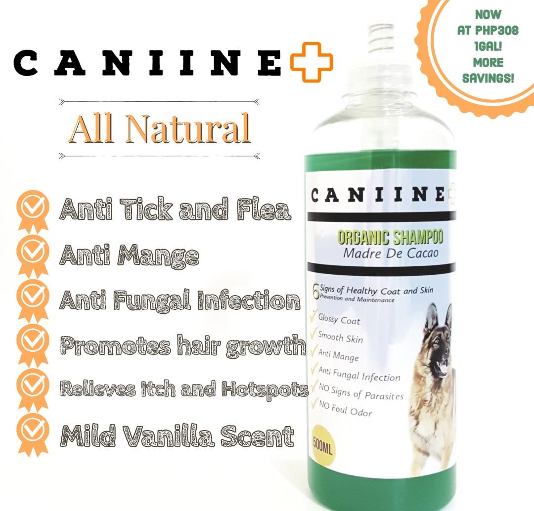 all natural pet supplies