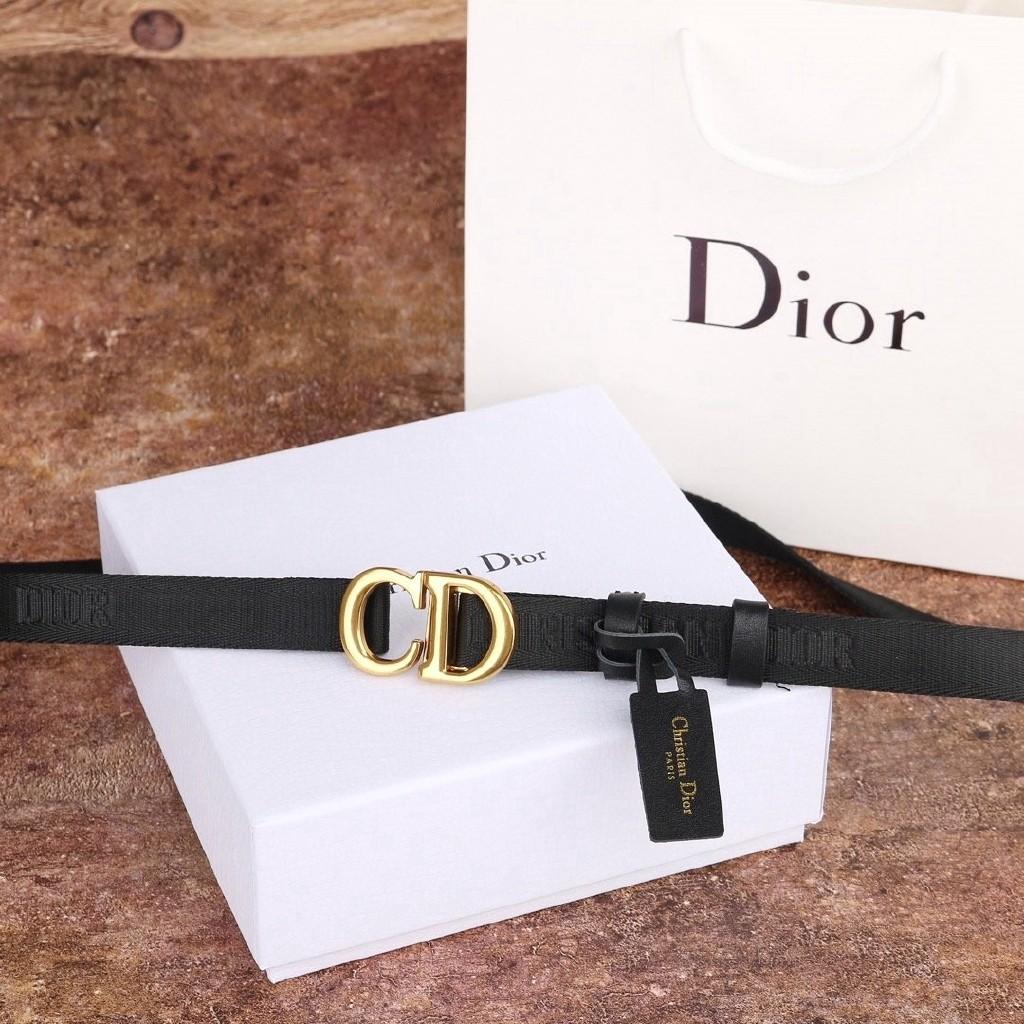 dior canvas belt