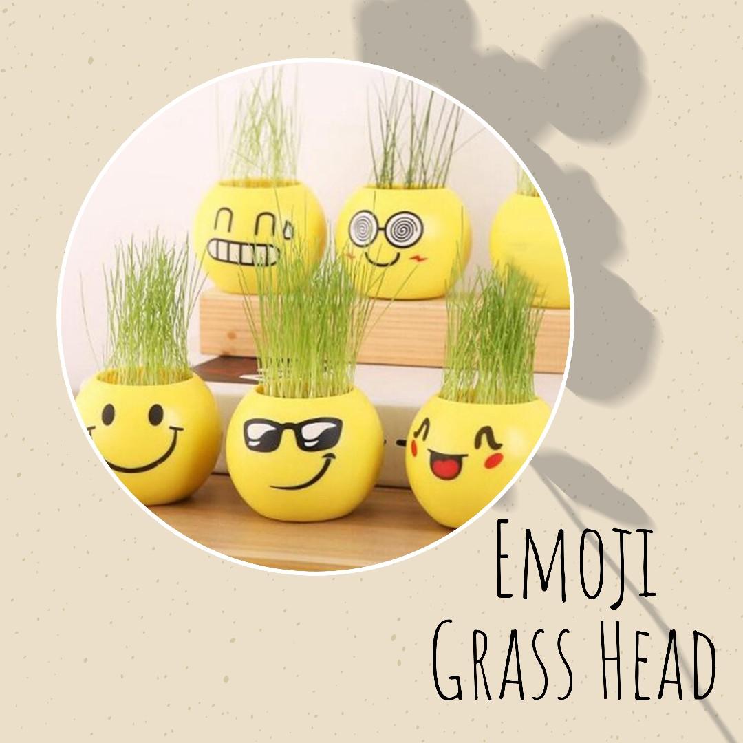 In Stock Grow On Your Own Emoji Grass Head Indoor Plant Gardening Plants On Carousell