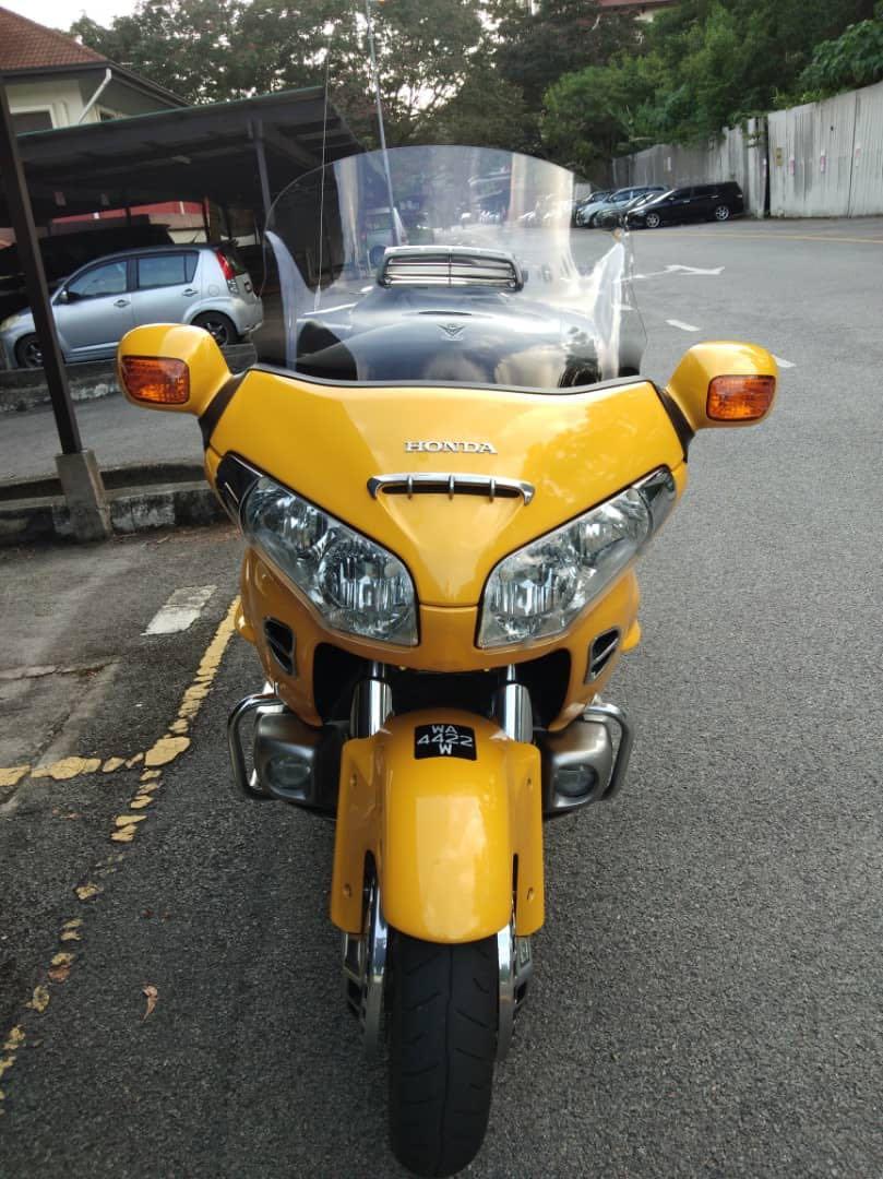 Yellow goldwing for sale outlet
